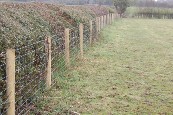 Stock fence